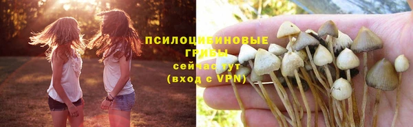 бошки Богородицк