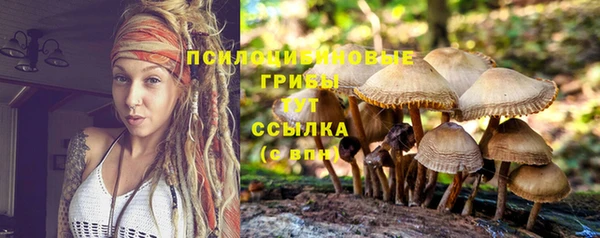 бутират Богородск