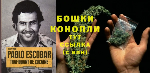 марки nbome Богданович